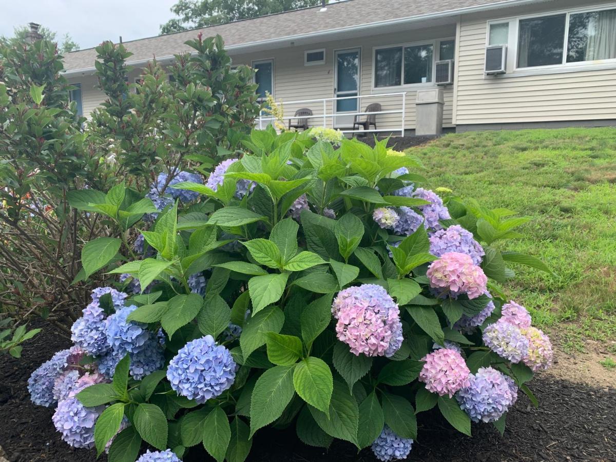 Northeaster Motel Kittery Exterior photo